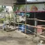 Delay in road widening gets encroachers back on highway 