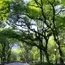 Green Spaces in Delhi Not Ready for Rising Heat Levels