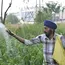 India's fertiliser output hits 5-year low amid input shortages 