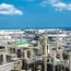 Mideast war weighs on petrochemical sector 