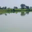 Ambuja Cements Bhatapara Rejuvenates Village Ponds Enhancing Rural Water Security Access