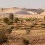 Jaisalmer Limestone Mining Tests India’s Great Indian Bustard Safeguards