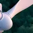 Exel Composites’ new India plant celebrates start of volume shipments for wind 