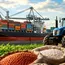 India's Fertiliser Supply Resilience Amid West Asia Disruption 
