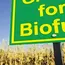 Conflicts push India’s biofuel, low-carbon fertiliser revolution 