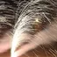 Mumbai: Toxic Chemicals Found In Most Firecrackers Sold For Diwali, Reveals Awaaz Foundation Study 