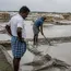 Heavy Rain Hits Marakkanam Salt Production, 2,000 Acres Affected