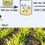 Beyond Haber-Bosch: New solar-powered technique for ammonia production 