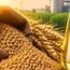 India’s Ethanol Supply Reaches 8.95 bn Litres in August
