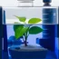 Sound Waves and a Plant-Made Catalyst Turn Water Into a Drug-Making Machine 