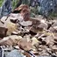 Tripura Rail Disrupted by Massive Landslide