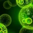 Chemicals in biofuels: The next decade belongs to multi-use molecules 
