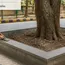Construction of New Tree Uthala in F/North Ward by Municipal Corporation of Greater Mumbai