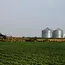 Dicamba demand outlook brightens as resistance management reshapes herbicide buying 