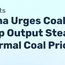 China Urges Steady Coal Production After Thermal Coal Price Rise - News and Statistics 