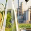 ISMA Welcomes Ethanol Policy, Seeks Review of Plant Allocation