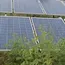 Karnataka Speeds Solar Pumps For Rural Energy