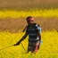 Agrochemical MSMEs in India May Suffer if Data Exclusivity Is Introduced: PMFAI 