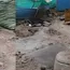 Mumbai's BMC Under Fire as 1,768 Roads Remain Incomplete; Infrastructure Pace Questioned Before Monsoon