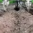 Fertiliser imports spurt in Sept as good rains raise hopes of strong rabi sowing