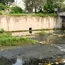Pune Housing Societies Under Scrutiny for Ramnadi River Pollution