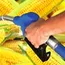 Corn must become India’s new crude 