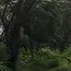 Hebbal Short Tunnel Puts Bengaluru’s Tree-Clearing System to the Test