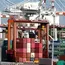 Call to extend duty cuts on critical inputs soon