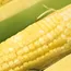 Corn futures rise after USDA cuts harvest outlook