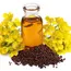 Global Mustard Oil Prices are Expected to Surge in Q2 2024: Factors Driving the Increase
