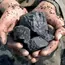 Indian imports of Russian coal fall, US shipments rise