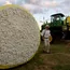 Cotton Gains As Demand For India Cotton Continues To Be Strong From Buyers