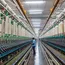 Sombre Textile Outlook Likely to Overshadow PVA Prices in US and Europe