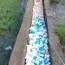 Nearly 5,000 milk packets found dumped in canal near Chennai amid supply shortage