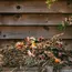 Mumbai Floral Waste Turns Into Compost for Parel Gardens