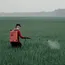 India Pesticides secures product approvals in UK, Argentina