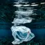 Operation Clean Sweep launches resin loss programme in India