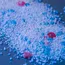RIL Hikes PVC and LD EC Polymer Price While PP, LL, LD, and HD Rolled Over