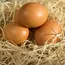 Why egg prices are rising in US, India and across the world