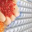 CARBIOS and Hündgen Forge Supply Agreement for Pioneer PET Biorecycling Plant