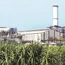 Bihar: Farmers raise Riga sugar mill issue