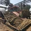 Mohiuddinpur sugar mill to end crushing season on Thursday