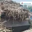 Maharashtra: Sugarcane crushing in Solapur and Kolhapur regions almost ends