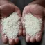 Rice stocks four times the buffer