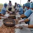 Cashew nut processing competition pioneered to bolster local industry