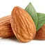 Bearing almond acreage drops slightly