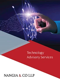 Technology Advisory Services | Buy Online