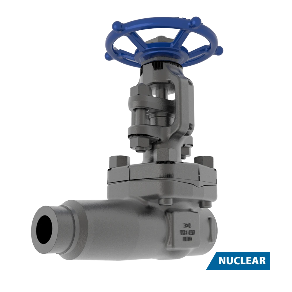 Forged Steel Extended Body Gate Valve | Buy Online