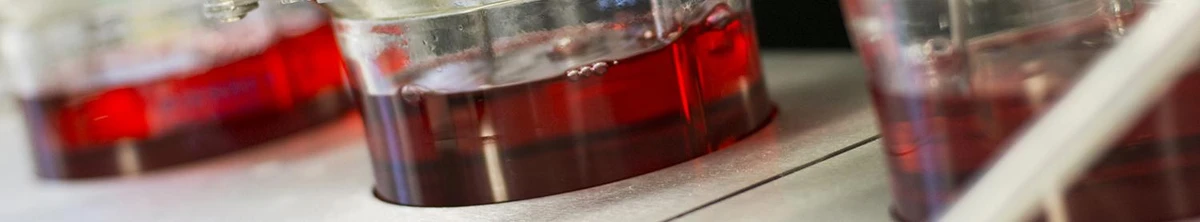 Freecor DSC Coolant | Buy Online