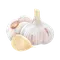 Lahsun (Garlic)